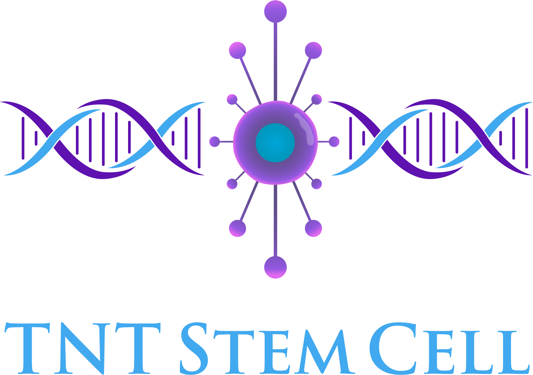 TNT Stem Cell
