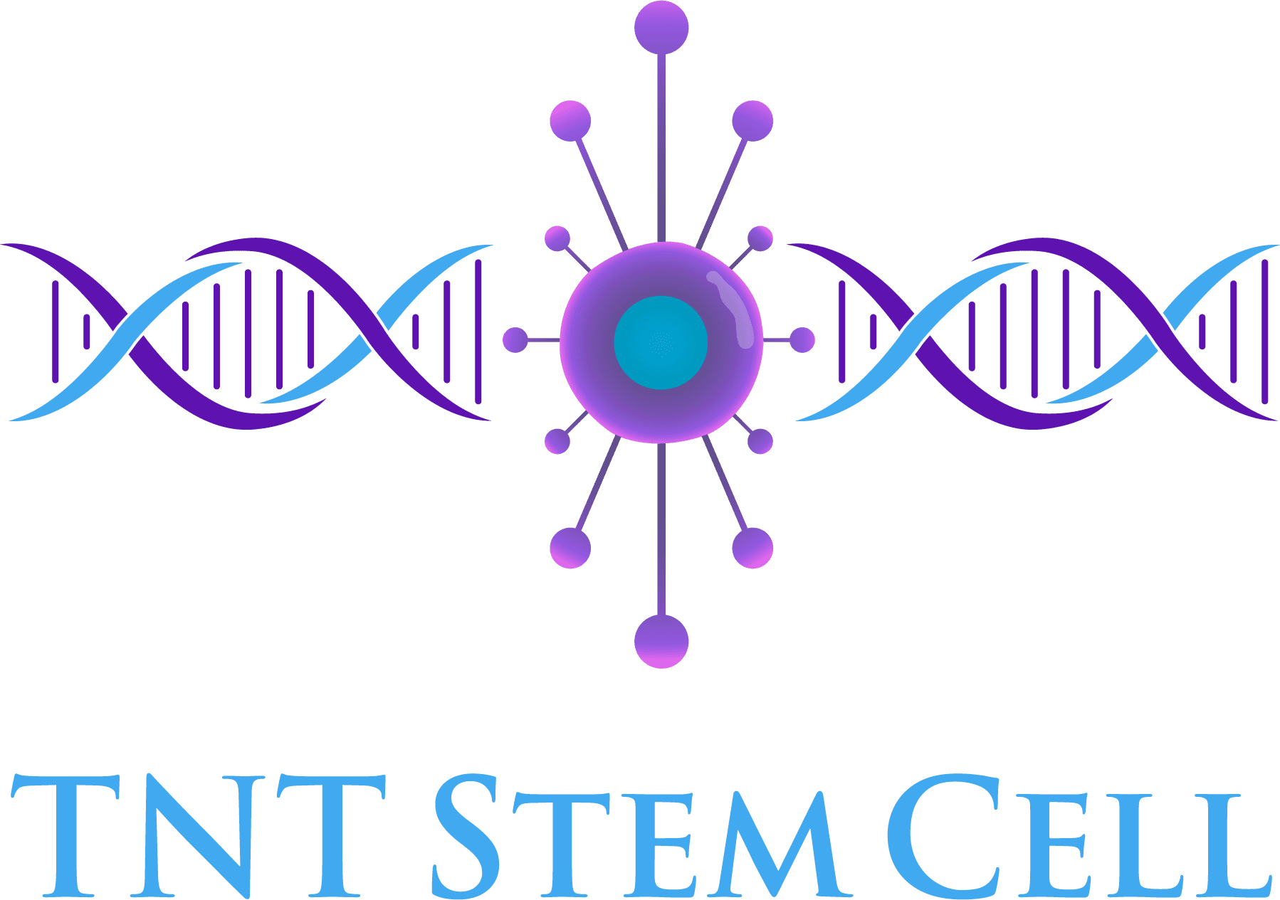 TNT Stem Cell